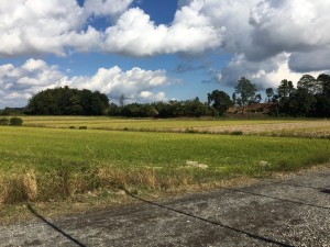 池袋美容室千葉県のどか