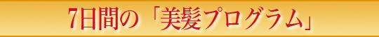 7日間の「美髪プログラム」