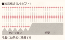 液晶構造(レシピスト)