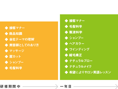 研修期間中と一年目のカリキュラム