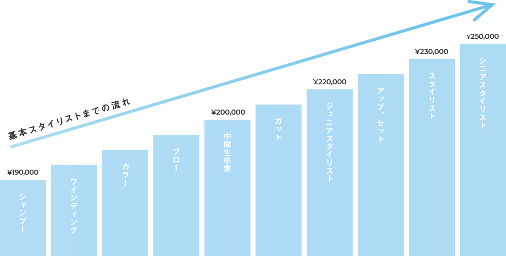 アートノイズのシニアスタイリストまでの流れ